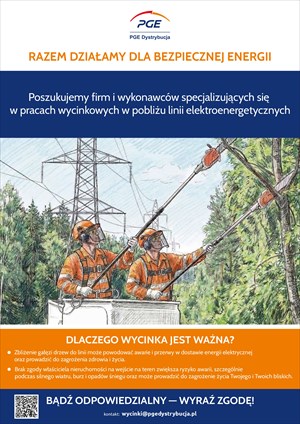 PGE poszukuje firm do prac wycinkowych w pobliżu linii elektroenergetycznych