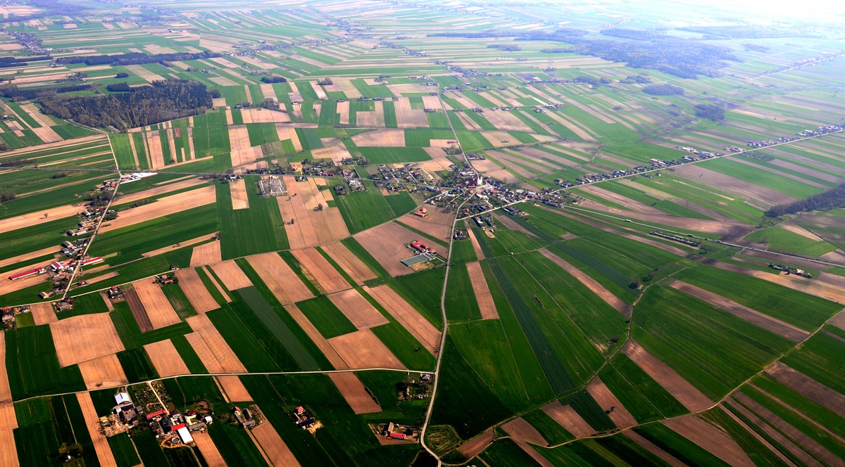 Ankieta dla mieszkańców z obszaru LGD BUD-UJ RAZEM 