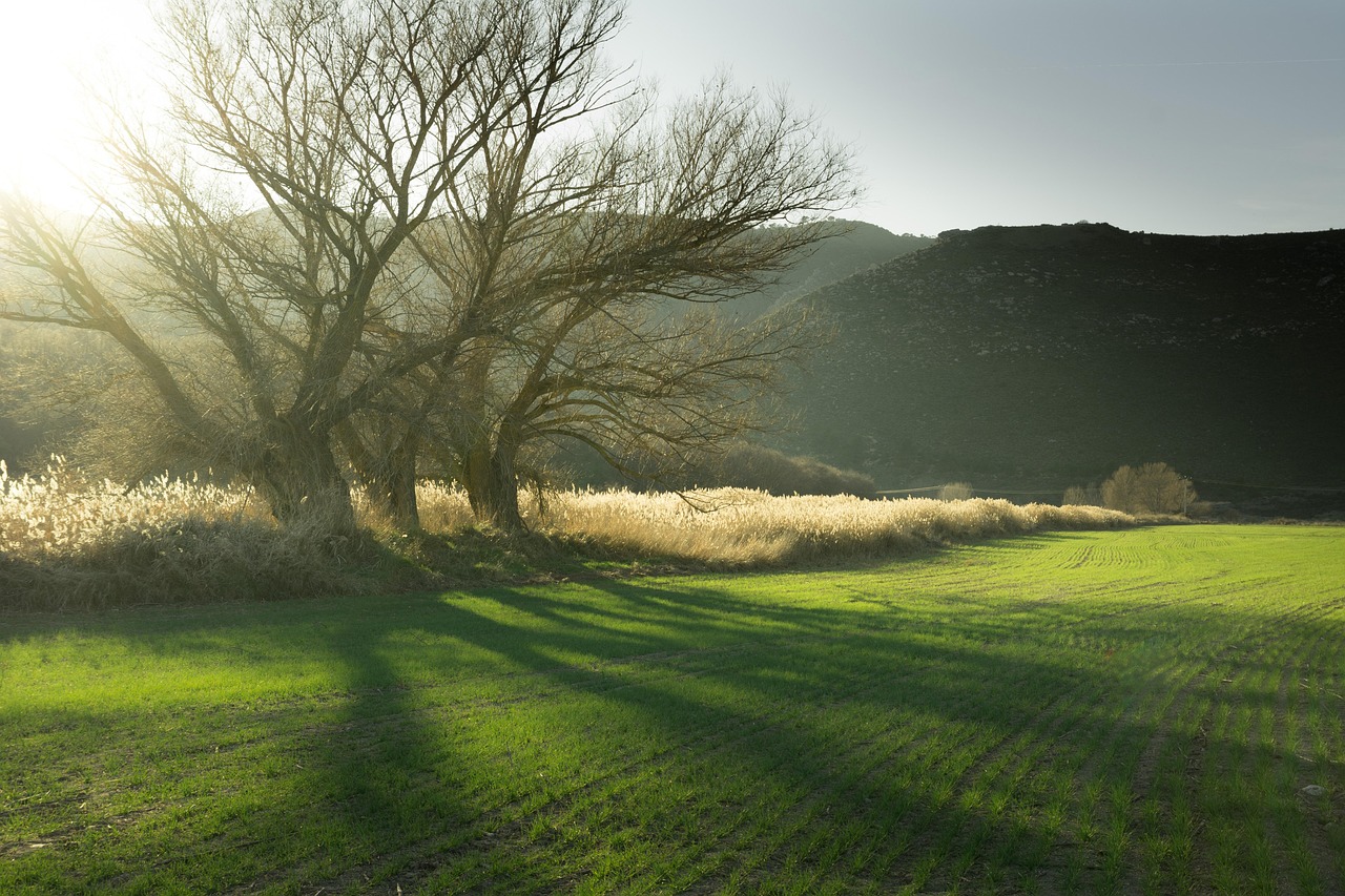 Przedłużenie okresu przejściowego w programie Czyste Powietrze