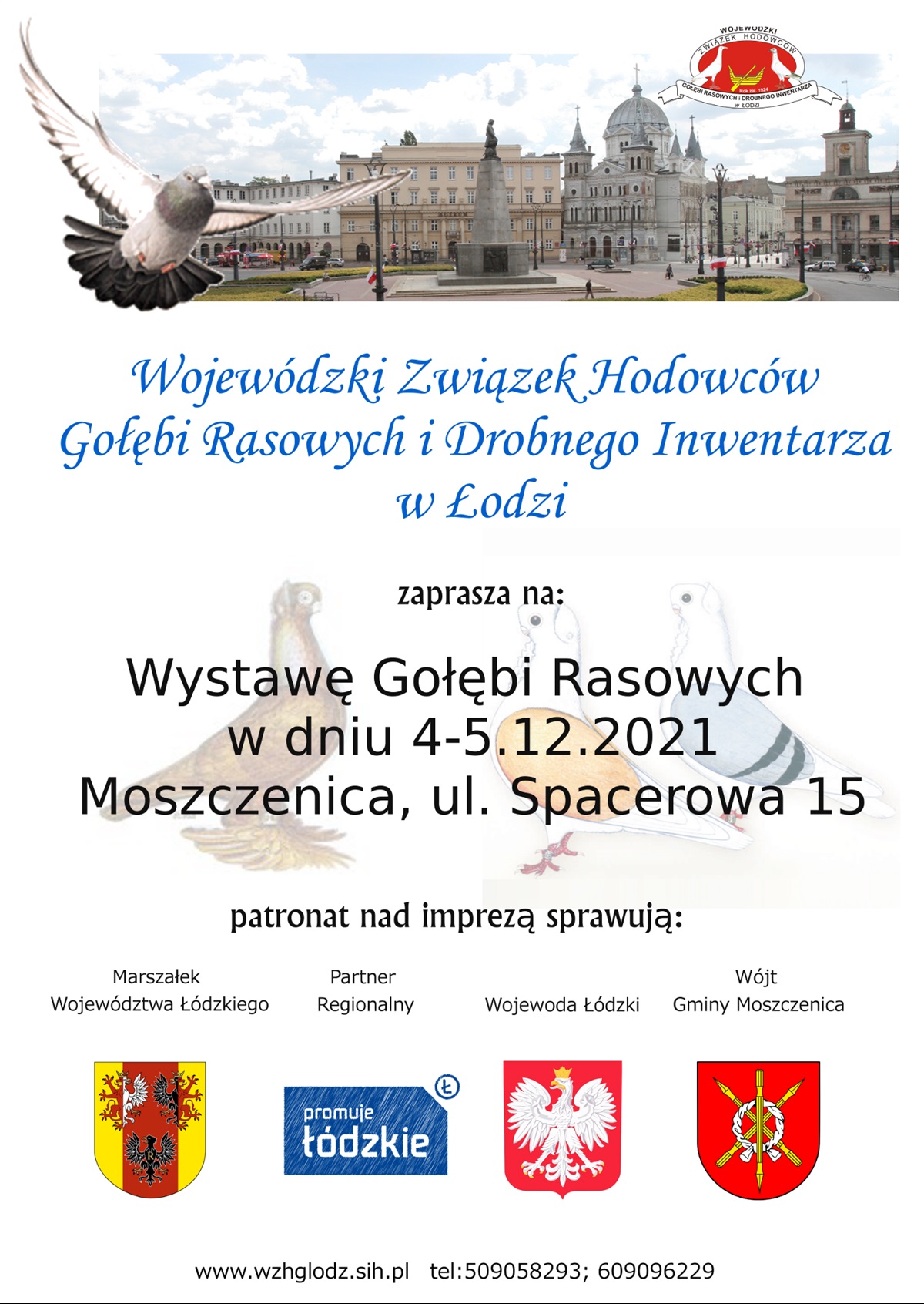 Wystawa gołębi rasowych 