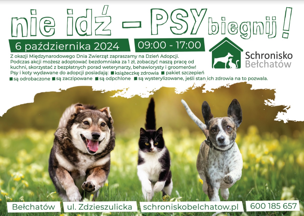 Dzień Otwarty w Schronisku