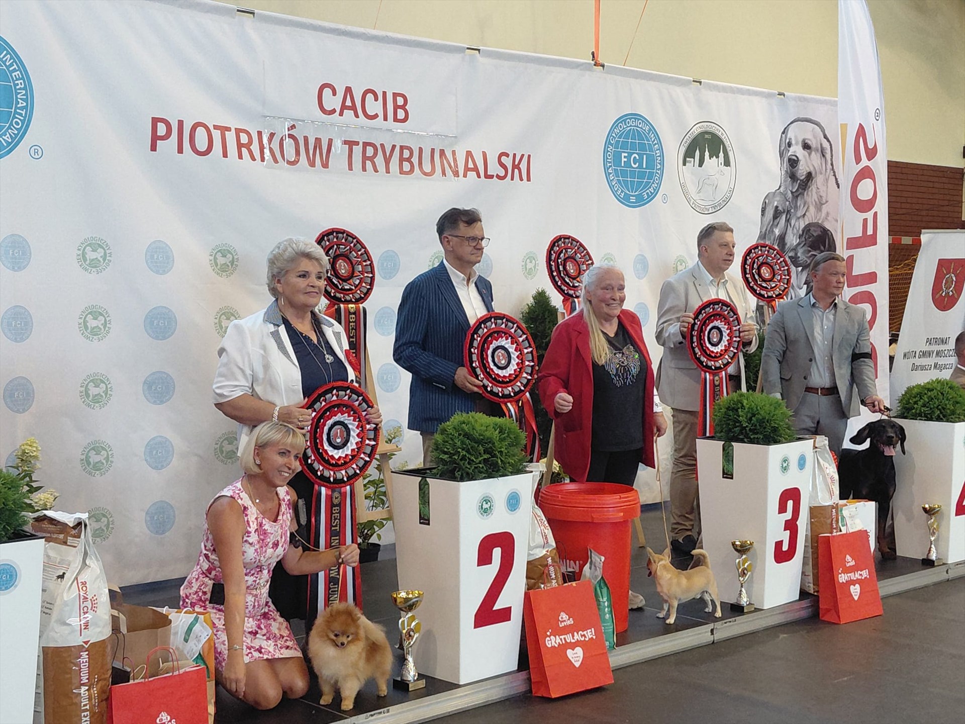 zdjęcie