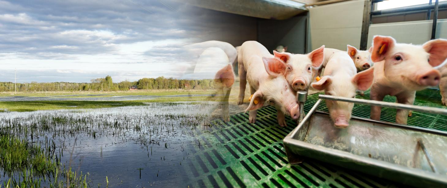 ARiMR - nabór wniosków o przyznanie pomocy na operacje typu „Inwestycje zapobiegające zniszczeniu potencjału produkcji rolnej”