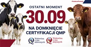 Certyfikat QMP — termin uzyskania upływa 30 września 2026 r.