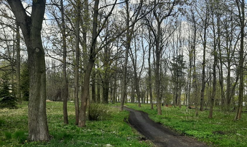 Zabytkowy park w Moszczenicy ponownie otwarty