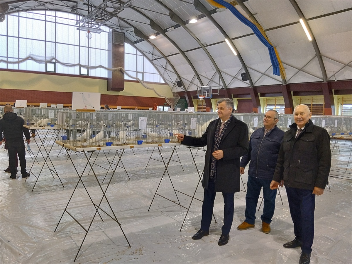 Wystawa gołębi rasowych