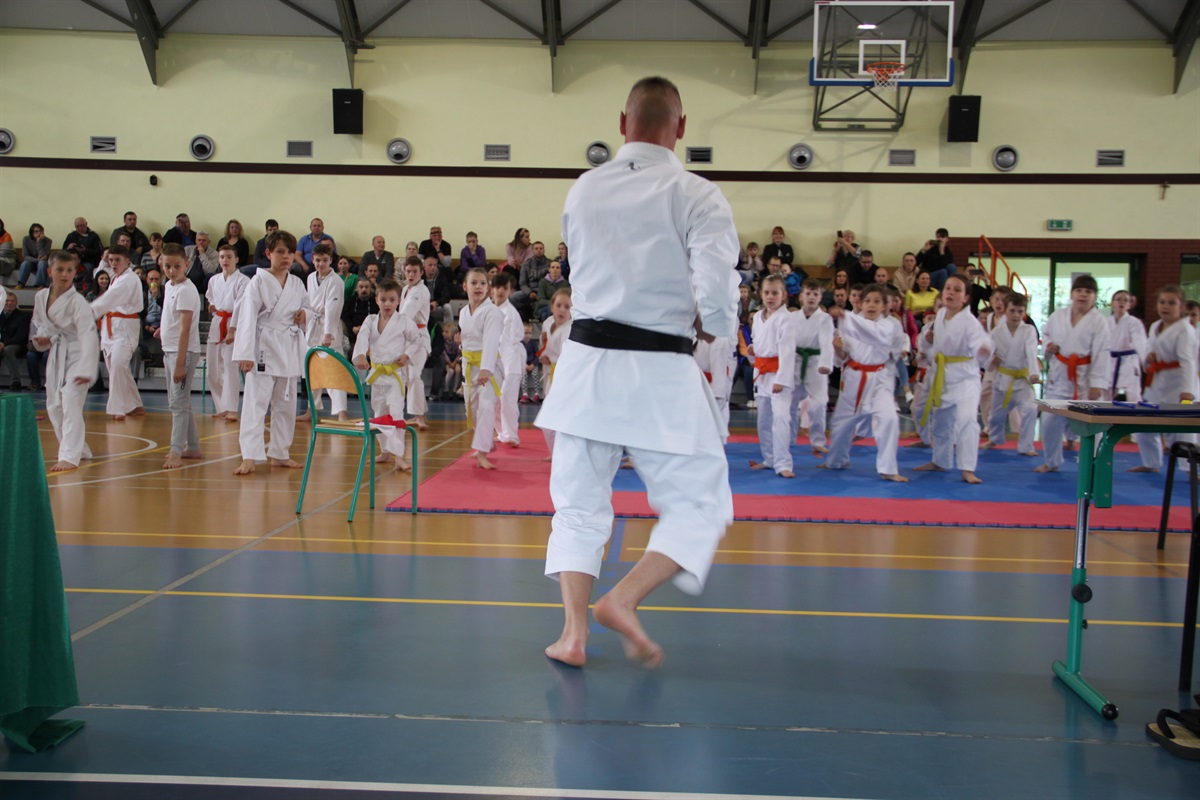 Ich pasją  jest karate