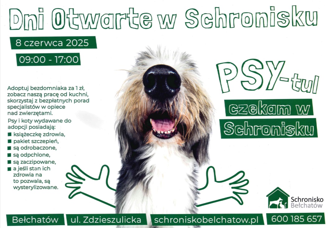 Dzień Otwarty w Schronisku