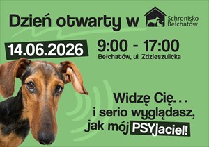 Szukasz wiernego przyjaciela? Daj dom psu ze schroniska!
