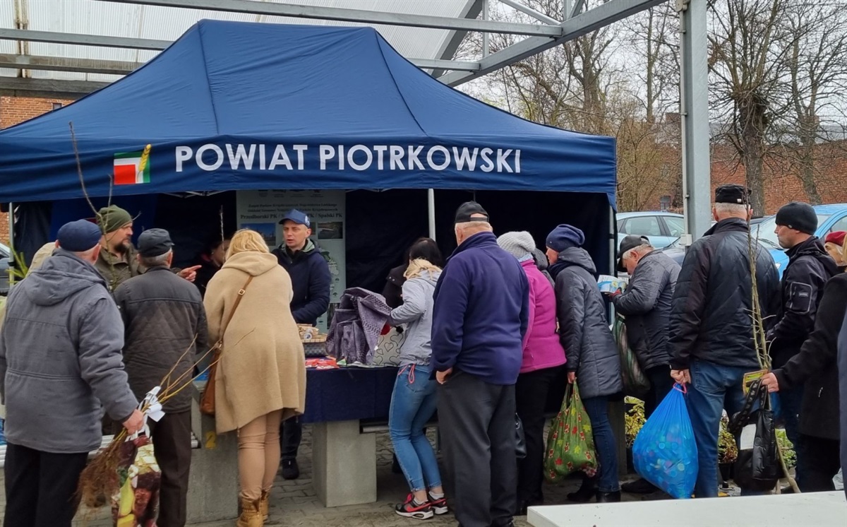 Po sadzonki przybyły tłumy mieszkańców 