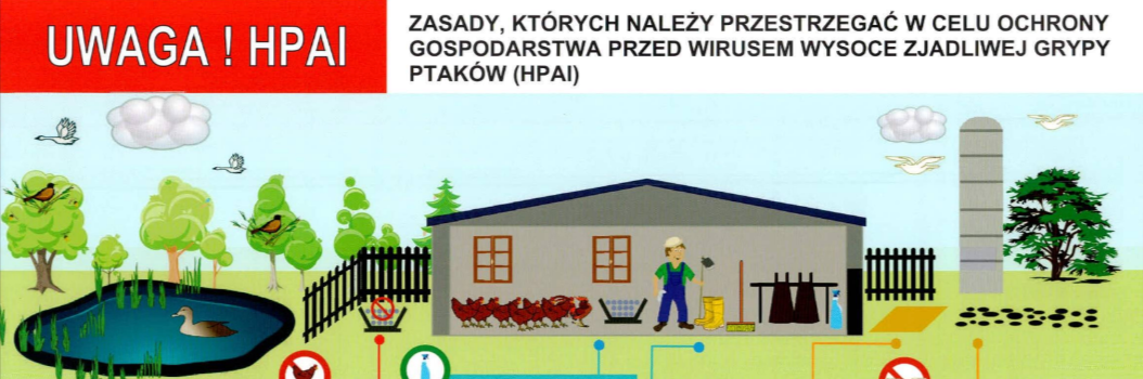 Informacja Powiatowego Lekarza Weterynarii nt. grypy ptaków (HPAI)