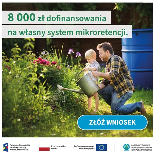 Nawet 8 tys. zł na deszczówkę! Rusza program Mikroretencja